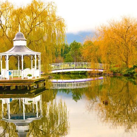 ماونت داندينونج Lakeside Cottage Luxury B&B المظهر الخارجي الصورة