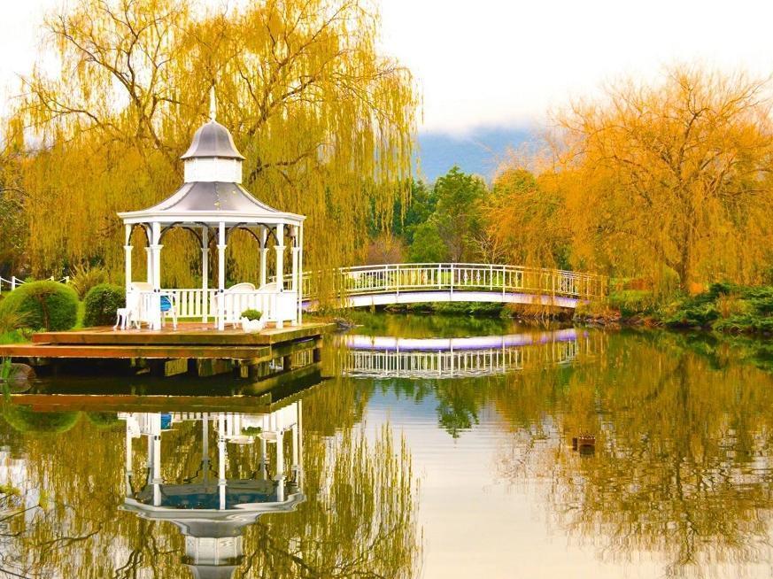 ماونت داندينونج Lakeside Cottage Luxury B&B المظهر الخارجي الصورة