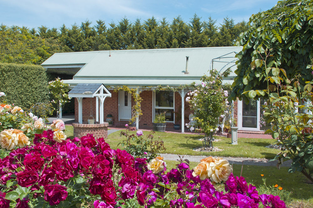ماونت داندينونج Lakeside Cottage Luxury B&B المظهر الخارجي الصورة